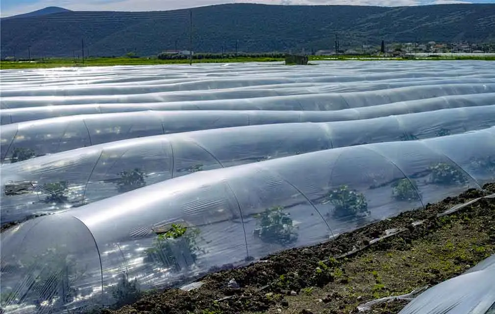 Polymer Stabilisatoren Anwendung in der Landwirtschaft