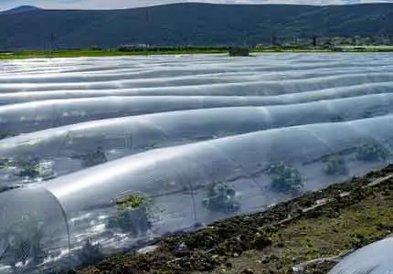 Polymer Stabilisatoren Anwendung in der Landwirtschaft