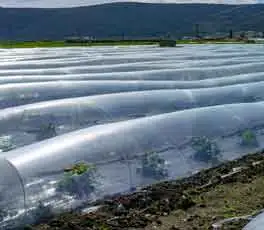 Polymer Stabilisatoren Anwendung in der Landwirtschaft