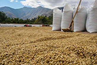 Herstellungs prozess von Polymer-Antioxidantien