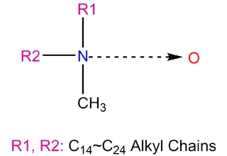 Amine, Bis (hydriertes Rapsölalkyl) methyl, N-Oxide