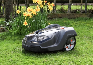 Phosphit-Antioxidans